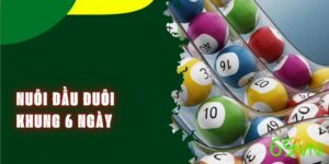 Chiến thuật nuôi đầu đuôi khung 6 ngày tang tỷ lệ thắng lớn
